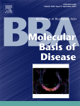 Biochimica et biophysica acta.