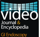 Video journal and encyclopedia of GI endoscopy.