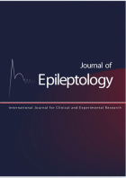 Journal of epileptology.