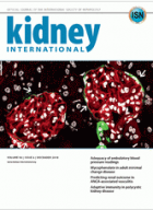 Kidney international.