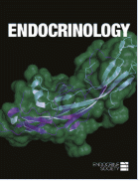 Endocrinology.