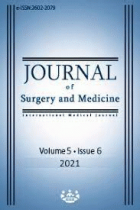 Journal of surgery and medicine.