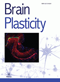 Brain plasticity.