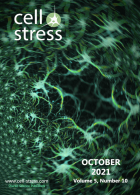 Cell stress.