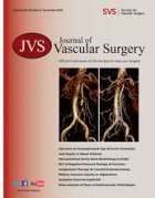 Journal of vascular surgery.