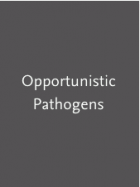 Opportunistic pathogens.